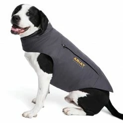 Horse Blankets & Stable Sheets Ariat Team DuraCanvas Insulated Dog Jacket
