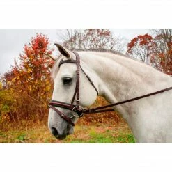 English Bridles KL Select Italia Pirouette Bridle