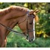 KL Select Italia Venezia Hunter Bridle English Bridles