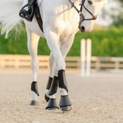EquiFit Essential Everyday Front Boot Horse Boots & Wraps