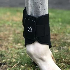 EquiFit Essential Everyday Hind Boot Horse Boots & Wraps