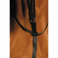Saddlery Brands International Martingales, Breastplates, Attachments Wintec Running Martingale
