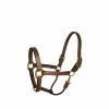 Perri's Leather Stable Halter Halters & Leads