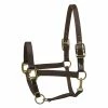 Perri's Leather Perri's Economy Safety Halter Halters & Leads