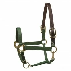 Perri's Leather Perri's Economy Safety Halter Halters & Leads