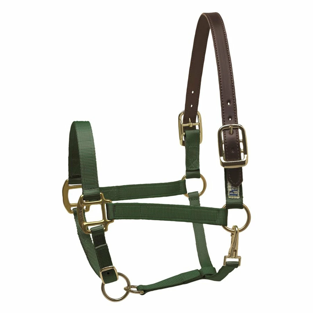Perri's Leather Perri's Economy Safety Halter Halters & Leads