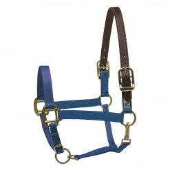 Perri's Leather Perri's Economy Safety Halter Halters & Leads
