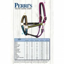 Perri's Leather Perri's Economy Safety Halter Halters & Leads