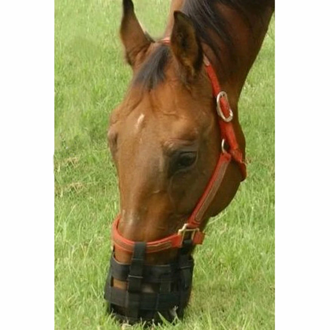 Jacks Mfg Best Friend Grazing Muzzle