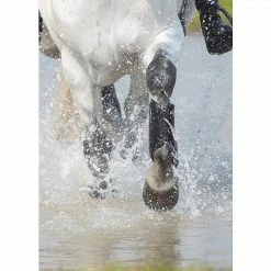 Shires Equestrian Products Arma Cross Country Front Boots Horse Boots & Wraps