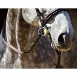 ThinLine English Reins