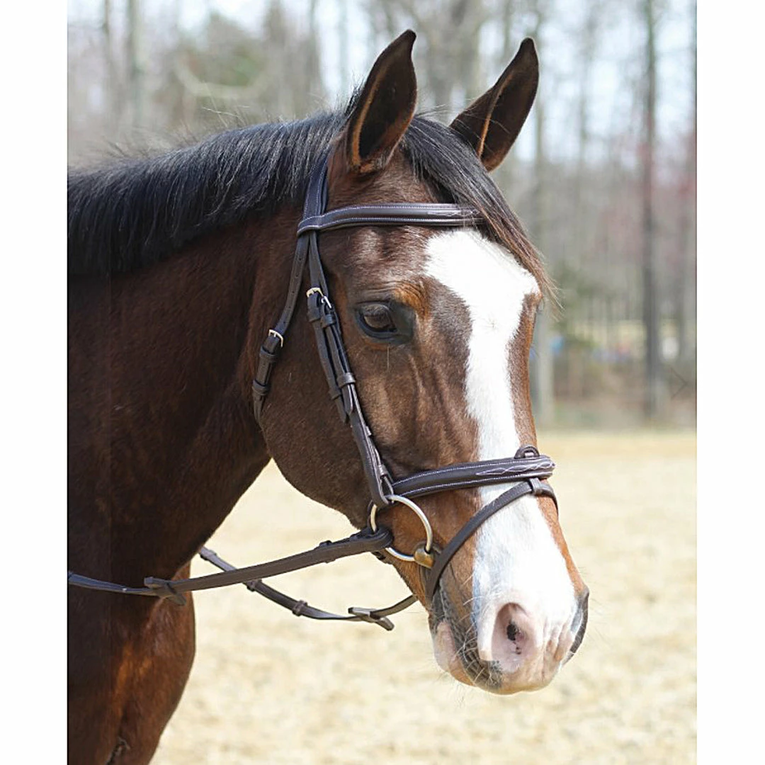 JPC Equestrian HDR Kushy Bridle With Detachable Flash