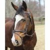 JPC Equestrian HDR Kushy Bridle With Detachable Flash