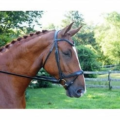 Red Barn By KL Select Arena Ergonomic Bridle