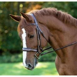 Red Barn By KL Select Arena Ergonomic Bridle