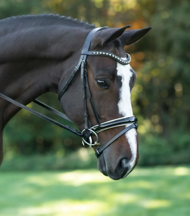 English Bridles Red Barn By KL Select Stride Dressage Bridle