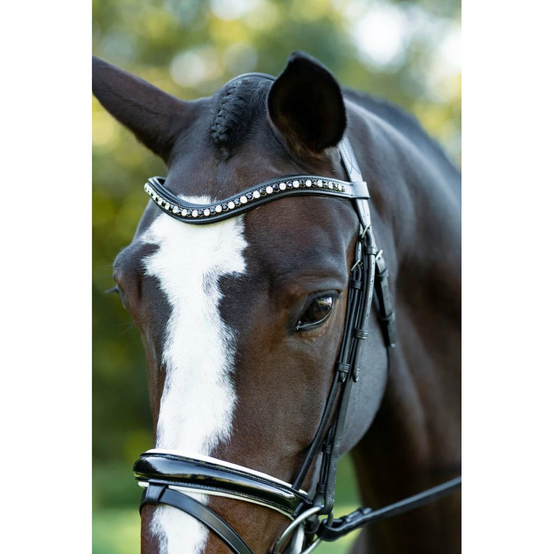 English Bridles Red Barn By KL Select Stride Dressage Bridle