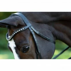 English Bridles Red Barn By KL Select Stride Dressage Bridle