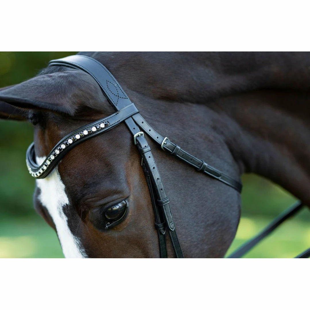 English Bridles Red Barn By KL Select Stride Dressage Bridle