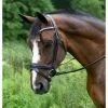 Red Barn By KL Select Pace Dressage Bridle English Bridles