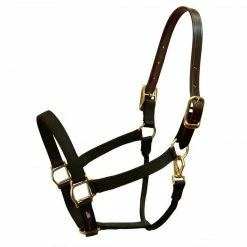 Halters & Leads Walsh Breakaway 1" Halter With Straight Chin