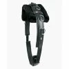 Walsh PCN Training Surcingle With Pad Horse Training Equipment
