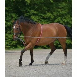 Horse Training Equipment Waldhausen Lunging Aid