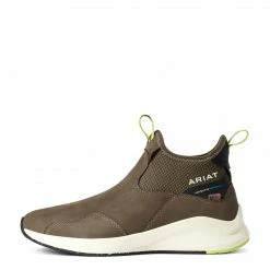 Riding Boots & Half Chaps Ariat Women's Ignite Chelsea Waterproof Boot