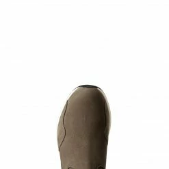 Riding Boots & Half Chaps Ariat Women's Ignite Chelsea Waterproof Boot