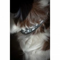 French Equestrian Penelope Pearl Dog Collar