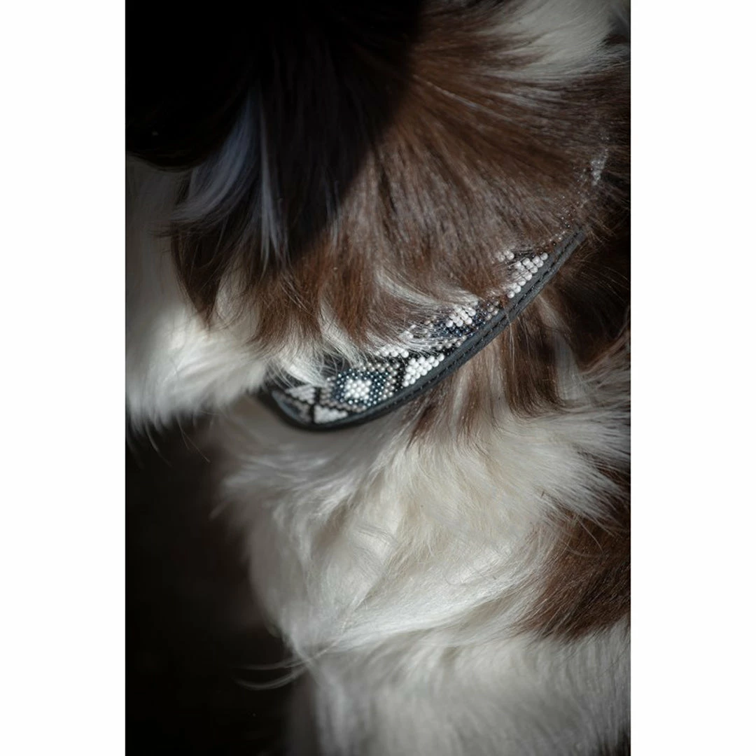 French Equestrian Penelope Pearl Dog Collar