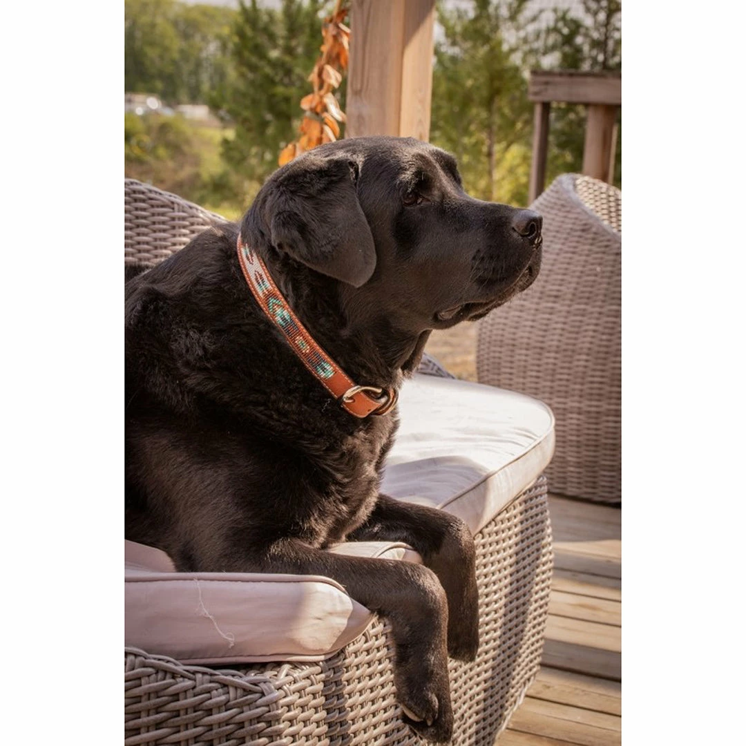 French Equestrian Penelope Pearl Dog Collar