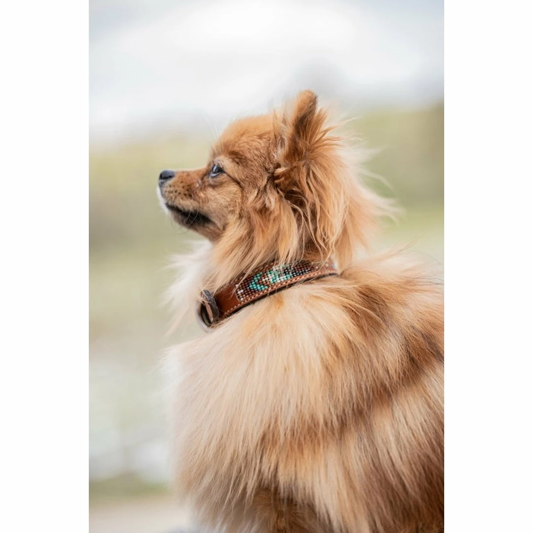 French Equestrian Penelope Pearl Dog Collar