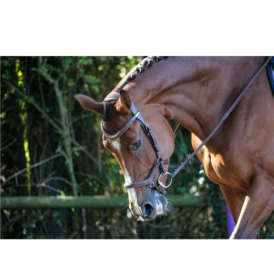 French Equestrian English Bridles Jump'in New York Bridle - One Collection