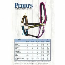Perri's Leather Perri's Safety Halter Crown Piece Halters & Leads