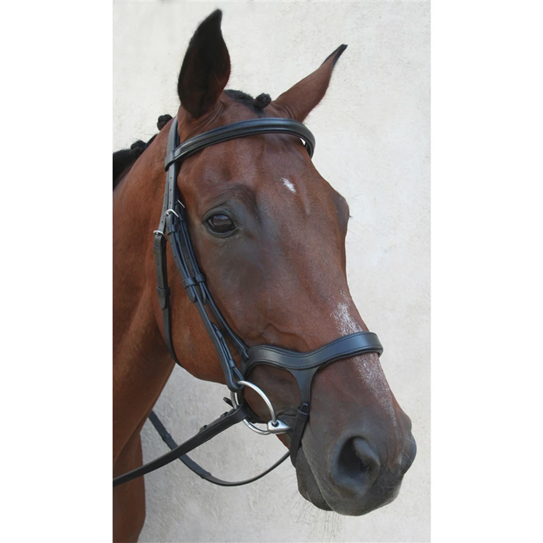 Nunn Finer Innovativo Shaped Bridle English Bridles