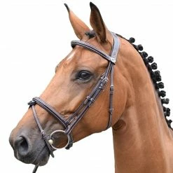 French Equestrian English Bridles Jump'in Thursday Bridle - Week Collection