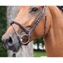 French Equestrian English Bridles Jump'in Thursday Bridle - Week Collection