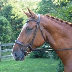 Red Barn By KL Select Arena Ergonomic Bridle