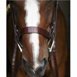 English Bridles Black Oak By KL Select Foxtrot Hunt Bridle