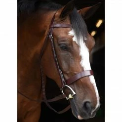 English Bridles Black Oak By KL Select Foxtrot Hunt Bridle