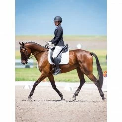 Kerrits Women's Crossover II Full Seat Breech