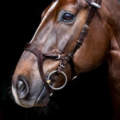 PS Of Sweden Nirak Bridle