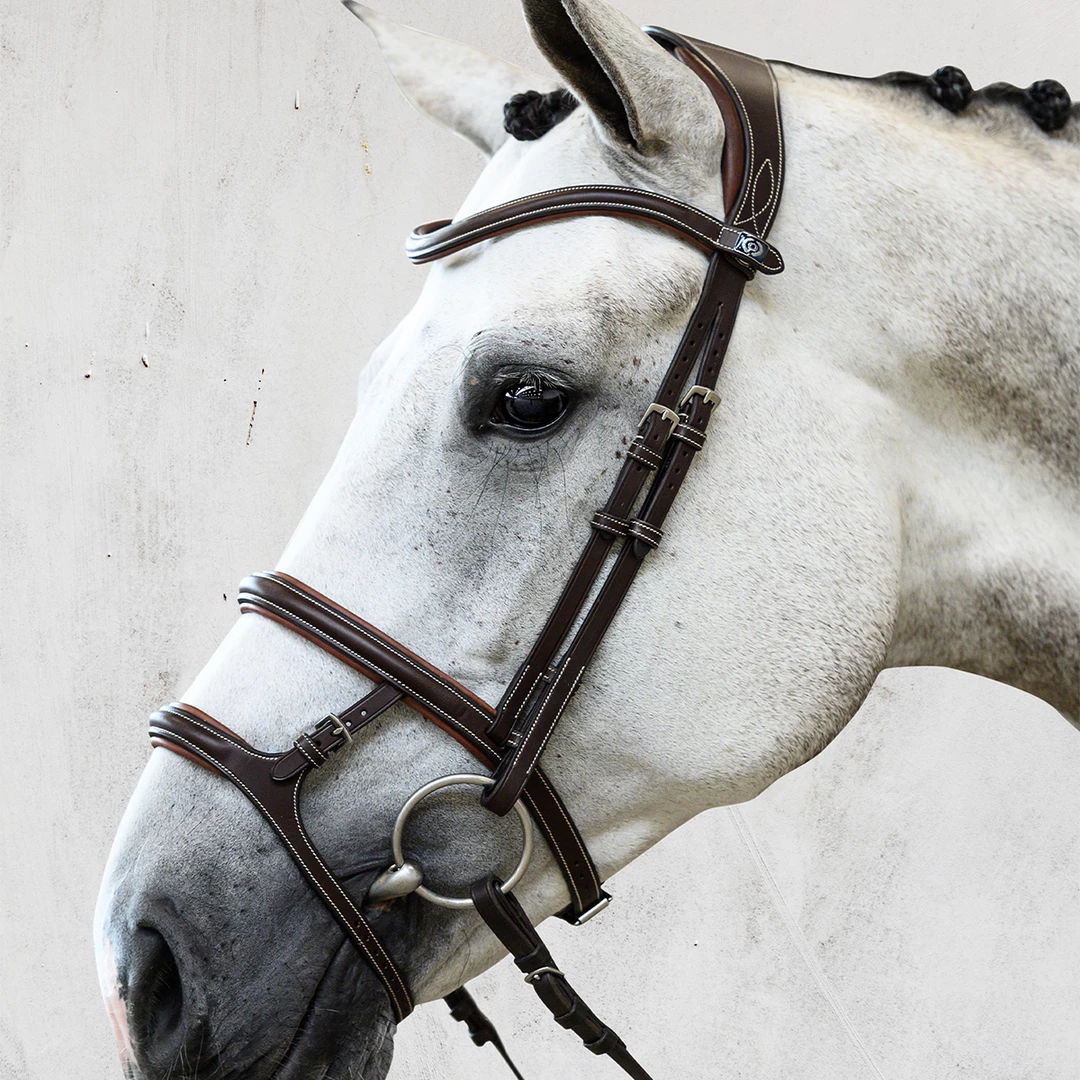 English Bridles PS Of Sweden Paris Bridle
