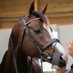 French Equestrian Penelope Daily Bridle