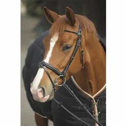 French Equestrian English Bridles Penelope Point Sellier Bridle