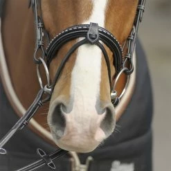 French Equestrian English Bridles Penelope Point Sellier Bridle