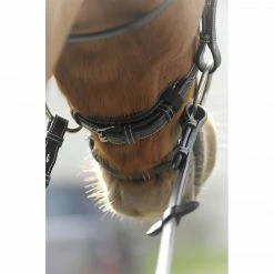 French Equestrian English Bridles Penelope Point Sellier Bridle