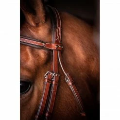 French Equestrian Penelope US Bridle