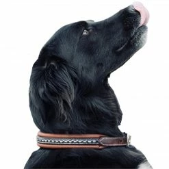 French Equestrian Penelope Dog Collar Horse Blankets & Stable Sheets